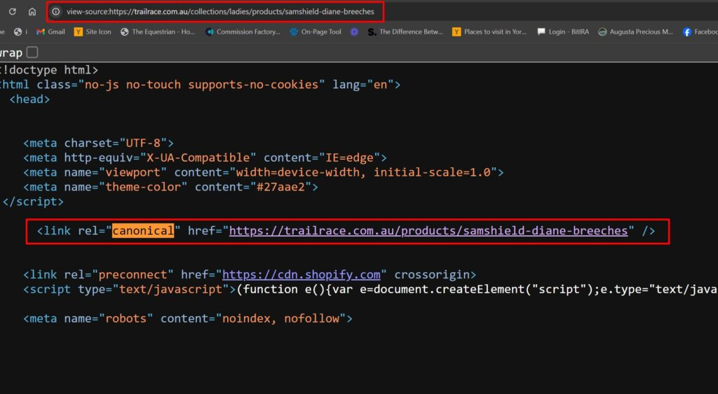 Darstellung eines Standard-Canonical-Tags in Shopify